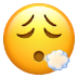 :face_exhaling: