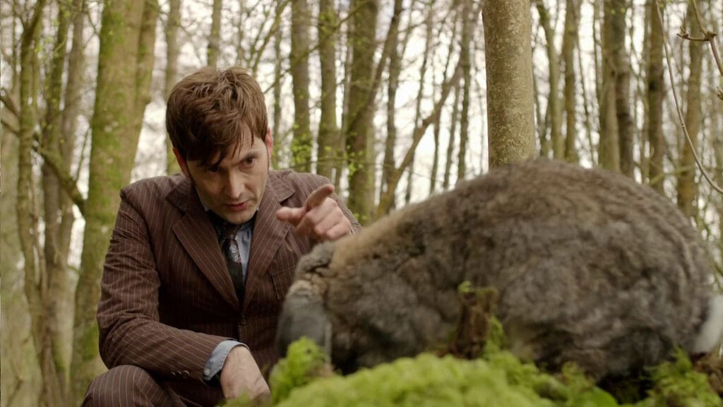 The Doctor, giving a speech to a rabbit